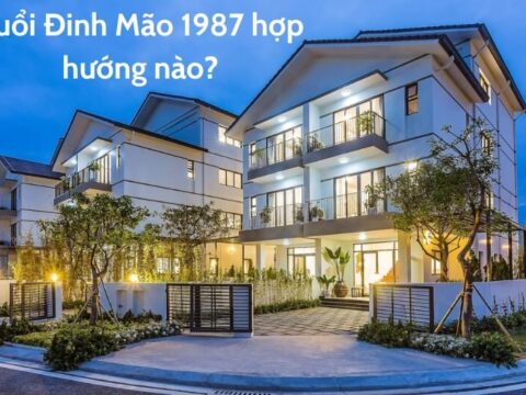 Tuổi Đinh Mão 1987 Hợp Hướng Nào? Tính Hướng Nhà Hợp Tuổi 1987