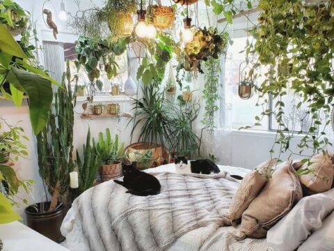 Mất ngủ triền miên: 3 lỗi phong thủy “cực hung” trong nhà cần phải để ý, cải thiện ngay kẻo sức khỏe xuống dốc không phanh