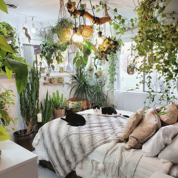 Mất ngủ triền miên: 3 lỗi phong thủy cực hung trong nhà cần phải để ý, cải thiện ngay kẻo sức khỏe xuống dốc không phanh - Ảnh 3. Mất ngủ triền miên: 3 lỗi phong thủy cực hung trong nhà cần phải để ý, cải thiện ngay kẻo sức khỏe xuống dốc không phanh - Ảnh 3.