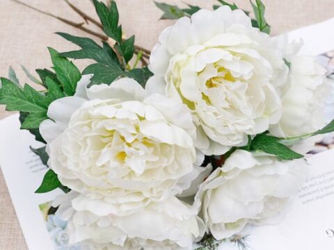 Tảo mộ Tết Thanh Minh: 3 loài hoa dâng cúng khiến bề trên ưng ý, 2 loài bạc bẽo cần tránh xa