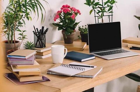 3 loại cây phong thủy hút may mắn thích hợp đặt trên bàn làm việc