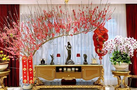 Phong thủy cây cảnh ngày Tết: Kiêng kỵ những điều này giúp gia chủ vận đỏ như son, may mắn gõ cửa cả năm tới
