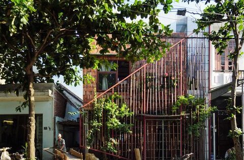 Ngỡ ngàng với nhà phố thiết kế vườn cây trong bếp