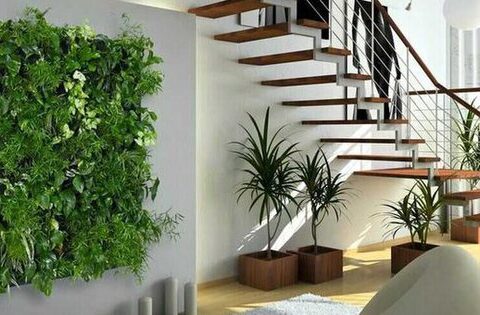 Thiết kế nhà cấp 4 với diện tích 25m2 đầy đủ tiện nghi