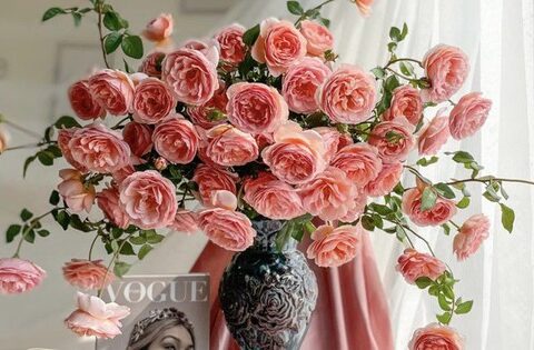 9x Hà thành gợi ý cách cắm hoa hồng vạn người mê ngày Valentine