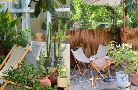 Cải tạo thành công khu vườn, cô gái 9x tận hưởng cuộc sống thư thái như đi dã ngoại tại nhà