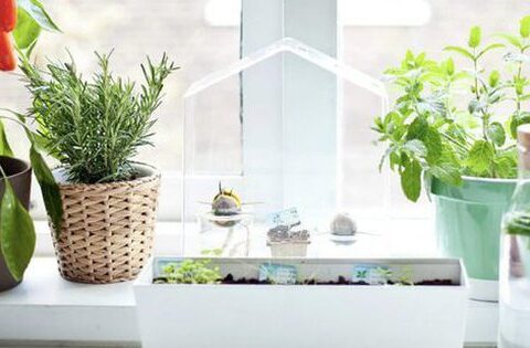 7 cách giúp nhà bếp thơm tho, bớt mùi hôi