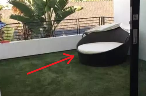 Chi gần 70 triệu để làm ban công cho chó Husky, chủ khóc ròng khi chứng kiến hiện trạng sau đó