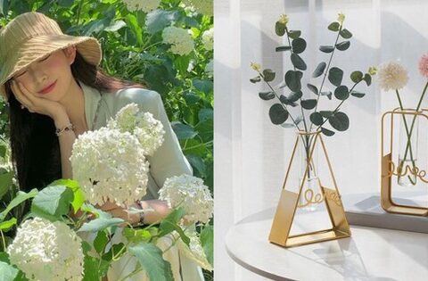 Hô biến góc nhà thành studio “dễ như ăn kẹo” với 5 item vừa chất lượng vừa “nhẹ ví”