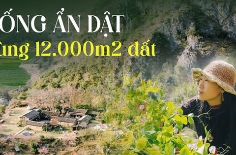 Cô gái 33 tuổi sống ẩn dật ở vùng núi trọc suốt 6 năm, tự cung tự cấp, “cai quản” 12.000m2 đất