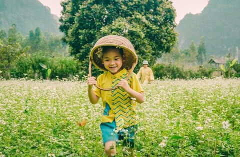 Người phụ nữ dành hơn 1 năm cải tạo ngôi nhà đá giữa thung lũng làm nơi nương náu cho tâm hồn, kết nối những đứa trẻ với thiên nhiên