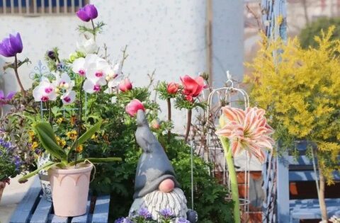 Ngắm hoài không chán khu vườn sân thượng bốn mùa nở hoa