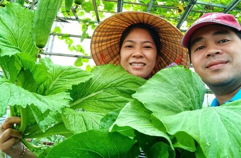Khu vườn sân thượng 70m2 trĩu nặng rau quả từ căn nhà phố ở Bình Thuận