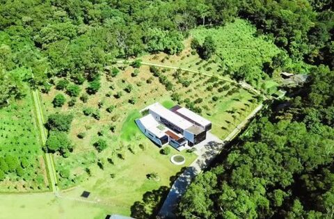 Doanh nhân 54 tuổi “bỏ phố về quê”, mua trọn ngọn đồi 30.000m2 để ở ẩn: Mất vài năm để xây biệt thự “không mái” giành huy chương vàng trong cuộc thi thiết kế nội thất