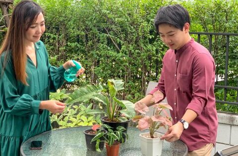 Nên chọn mua nhà ngoại ô hay nhà trong trung tâm thành phố?