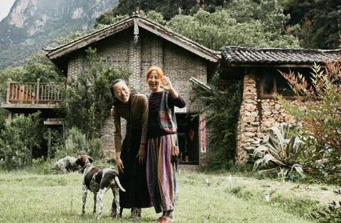 Chán thành phố, cô gái lên núi tự tay khai phá 12.000m2 đất hoang thành thiên đường riêng: Trồng rau, nuôi gà thú vị hơn ngồi “gõ phím di chuột”