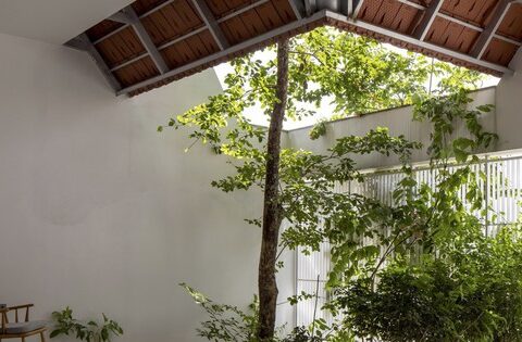 Mê mẩn căn nhà có cây xanh và lợp mái hiên bằng đất nung