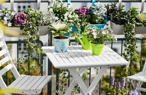Những ban công được trang trí bằng hoa đẹp mà không quá tốn kém