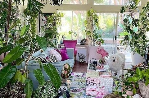Có 3 loại cây nhà giàu chẳng bao giờ động đến, cố chấp chưng chỉ hao tài tốn của rước vận xui