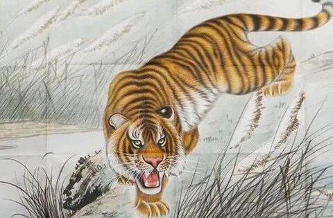 3 món đồ đại kỵ trong phong thủy: Quý đến đâu cũng không được mang về nhà kẻo xui xẻo không gọi mà tới
