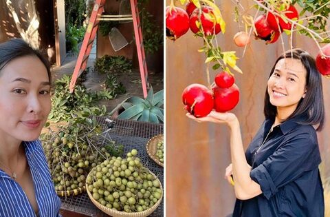 Đã mắt với vườn trái cây trong biệt thự của Hoa hậu Dương Mỹ Linh, có 1 góc đặc biệt ai xa quê cũng thích