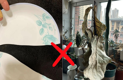 Dọn dẹp nhà cửa: Người giàu thẳng tay vứt 5 thứ vì biết dễ rước họa vào thân, người nghèo thì mặc kệ
