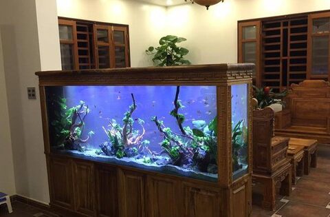 Người xưa mách: Biết cách đặt 3 vật này trong nhà ắt sẽ thu hút vận may, tiền bạc tự kéo đến