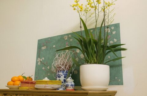 Đặt chậu hoa lên bàn thờ: Đẹp hay đại kỵ? Chuyên gia nói câu này khiến ai cũng giật mình