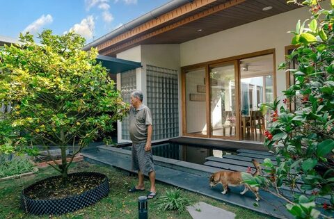 Ông bà nói: “Nhà mát nhờ cây, lộc bền nhờ đất” – 5 dấu hiệu nhận biết đất vàng phong thủy, ở lâu ắt giàu