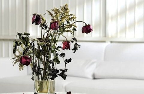 Sau Tết nhiều nhà mắc 5 lỗi phong thủy mà không biết: Bảo sao tiền bạc trôi tuồn tuột