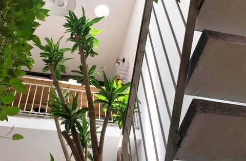 Ông bà dặn: Nhà có 4 dấu hiệu này đừng bao giờ bán, càng ở càng giàu, con cháu tha hồ hưởng lợi