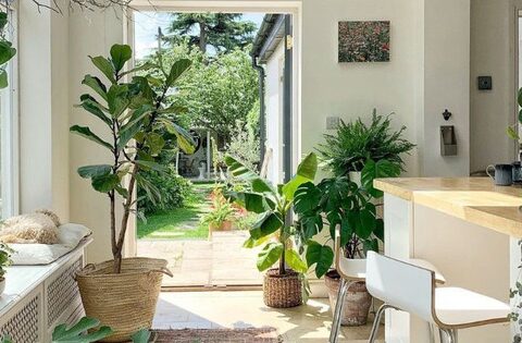 Ông bà nói: “Vận đến không ồn ào, nhưng sẽ có điềm báo” – 6 dấu hiệu cho biết nhà bạn có lộc trời ban